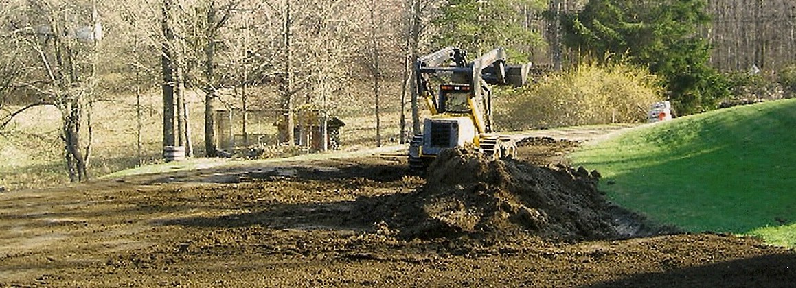 Tree Monsters Land Clearing