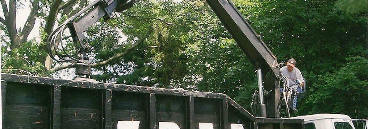 Tree Monsters lifting logs